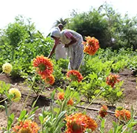 WATER INFRASTRUCTURE FOR AGRICULTURE